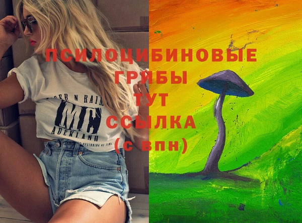 шишки Верхнеуральск